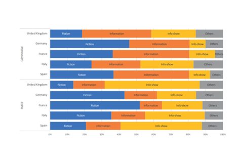 Structure of broadcast at prime-time and night by country and ownership, 2018-2019 (%)