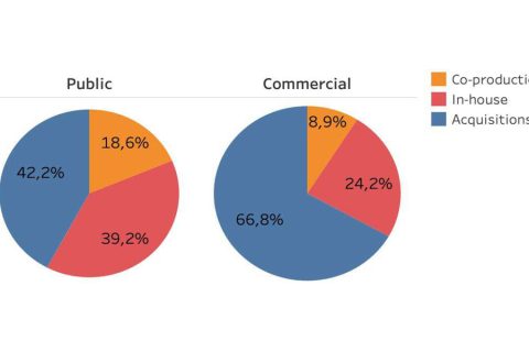 Distribution of cartoons production types by ownership, 2010-2020